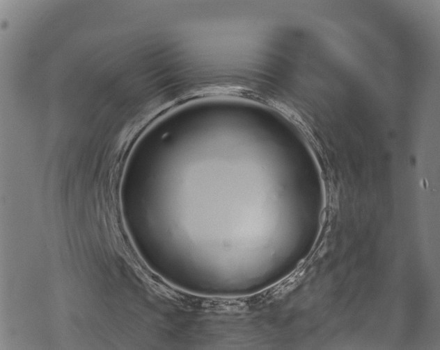 X0000070880337200606231348