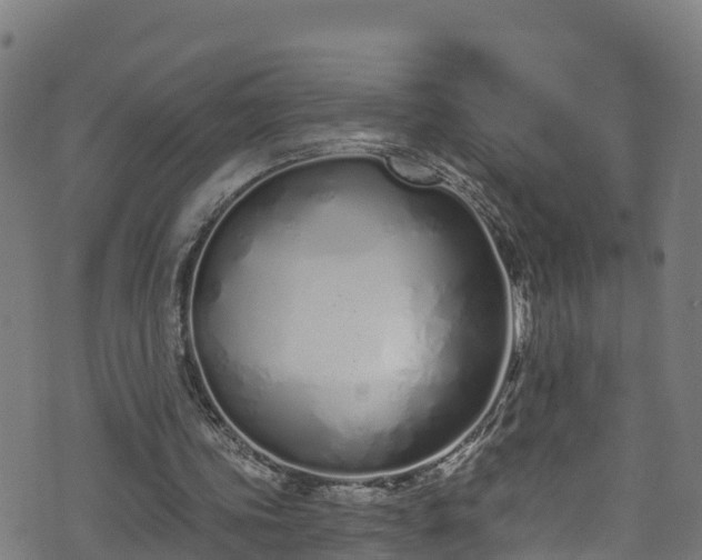 X0000070880339200606231348