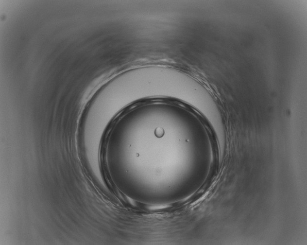 X0000070880340200606231348