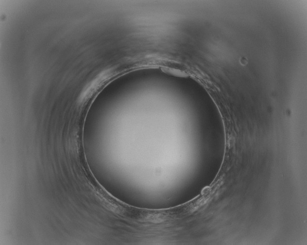 X0000070880341200606231348