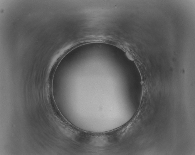 X0000070880342200606231348