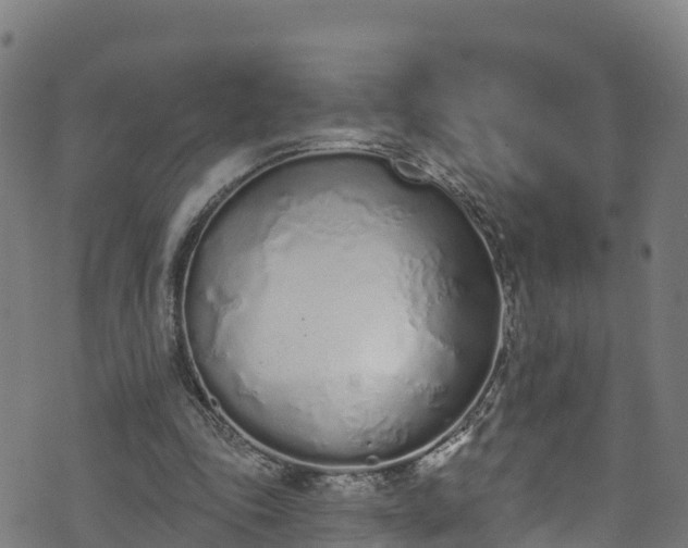 X0000070880343200606231348