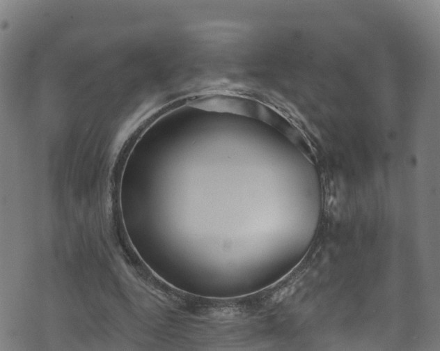 X0000070880344200606231348