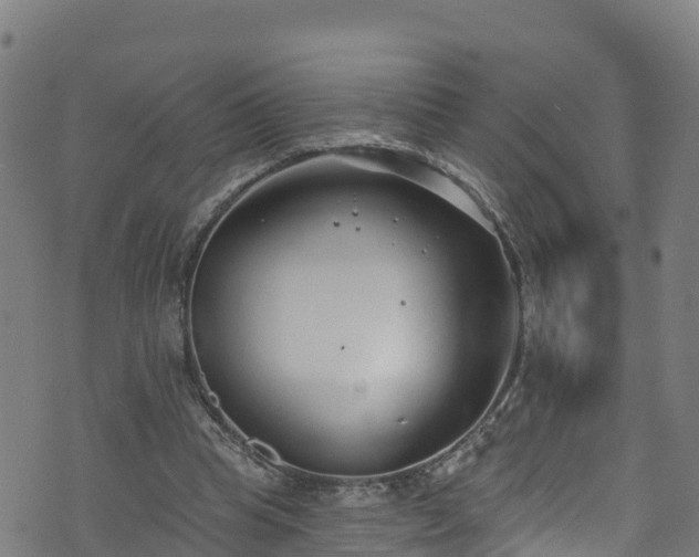 X0000070880345200606231348