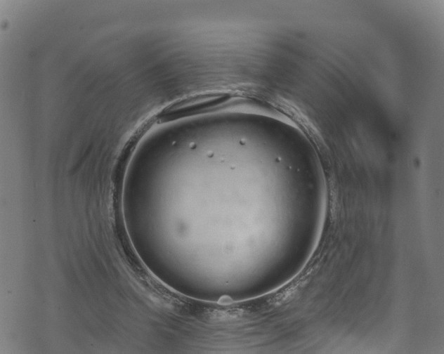 X0000070880346200606231348