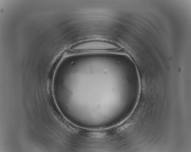 X0000070880347200606231348