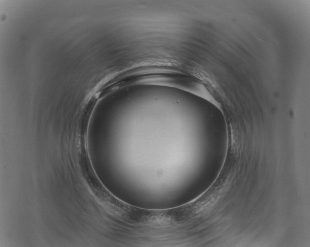 X0000070880348200606231348