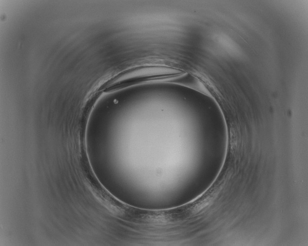 X0000070880349200606231348