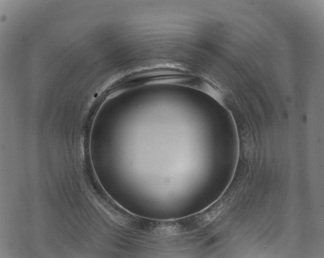 X0000070880350200606231348