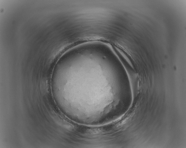 X0000070880351200606231348