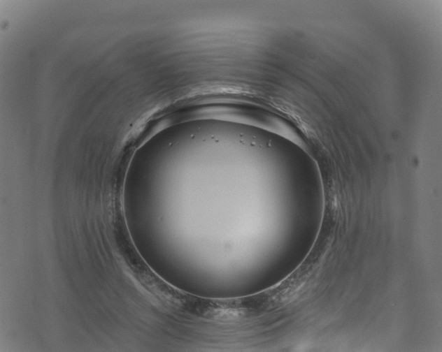 X0000070880352200606231348