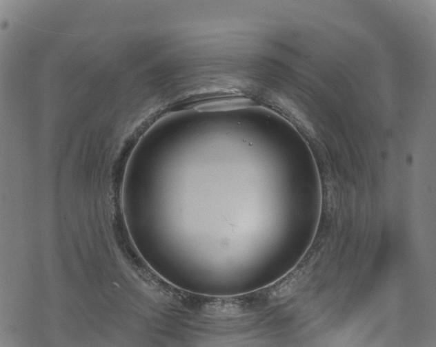 X0000070880354200606231348