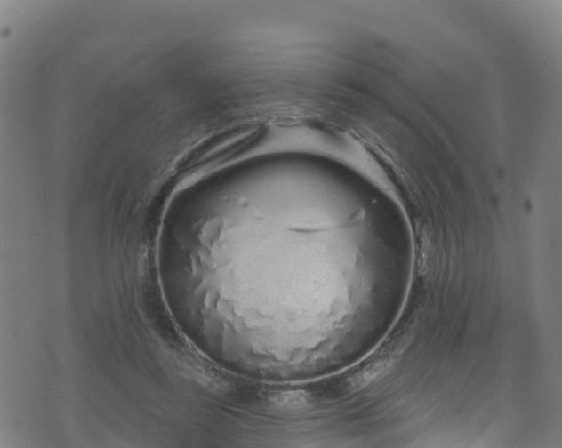 X0000070880355200606231348