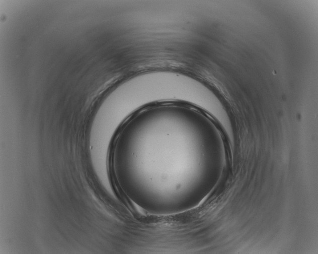 X0000070880356200606231348