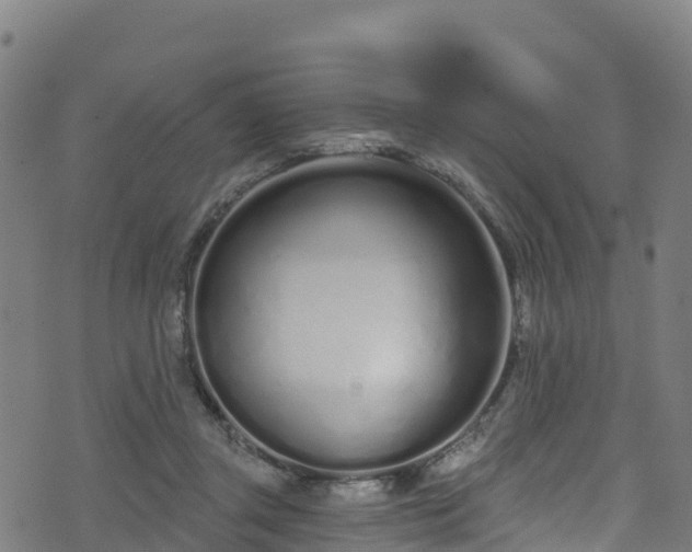 X0000070880357200606231348