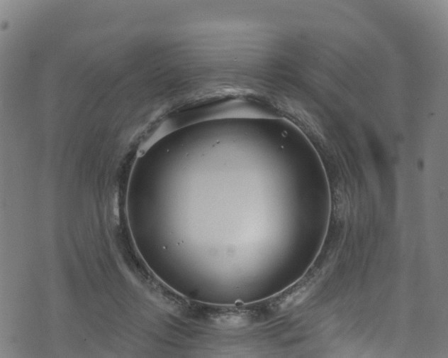 X0000070880358200606231348