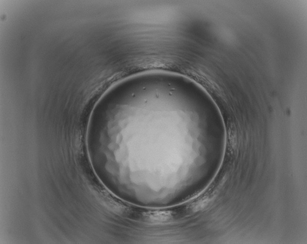 X0000070880359200606231348