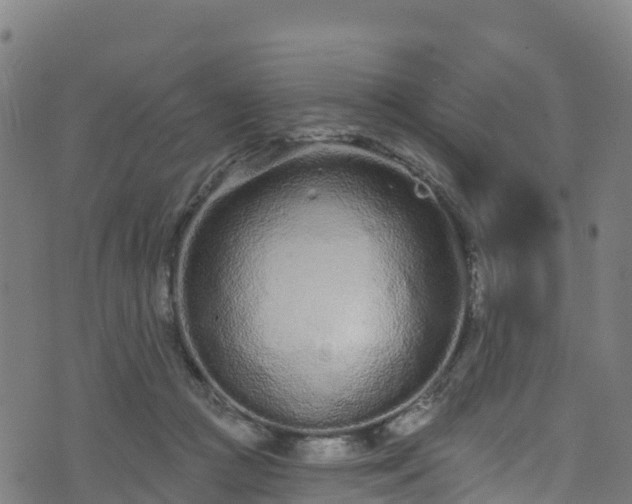 X0000070880361200606231348