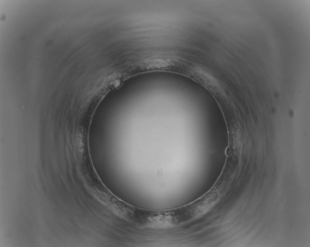 X0000070880362200606231348