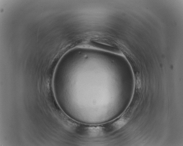 X0000070880363200606231348