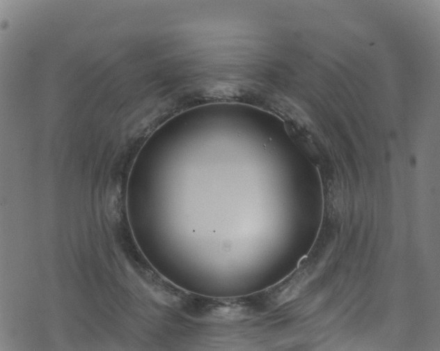 X0000070880364200606231348