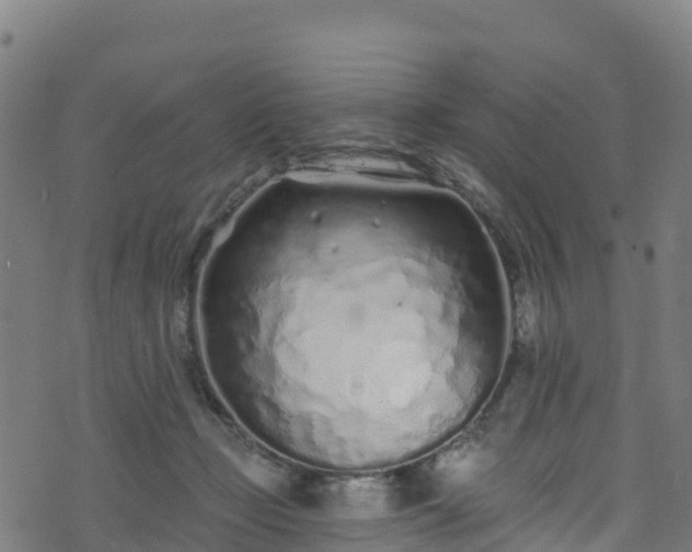 X0000070880365200606231348