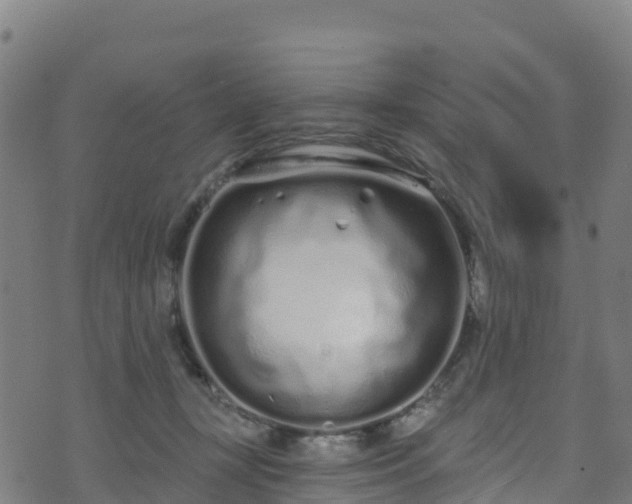 X0000070880367200606231348