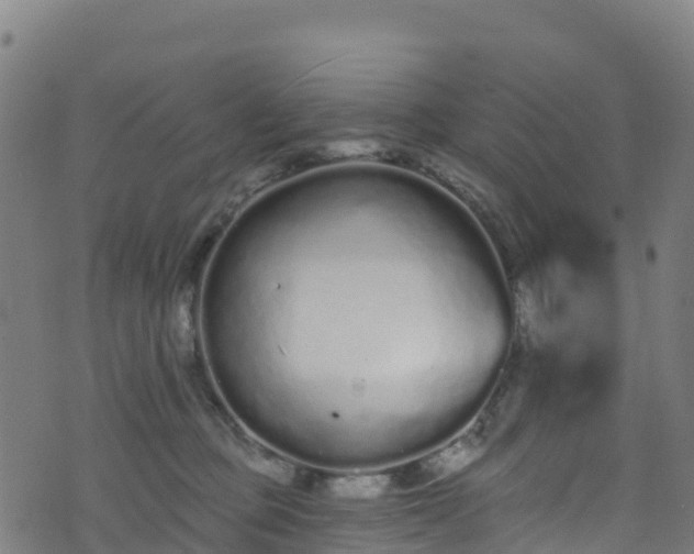 X0000070880373200606231349