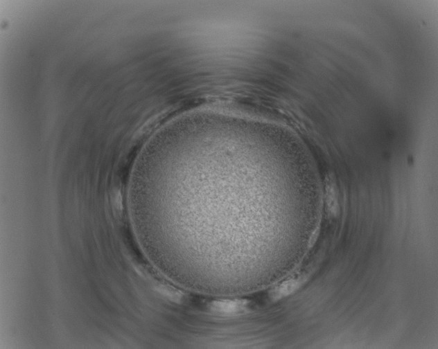 X0000070880375200606231349