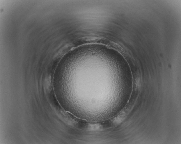 X0000070880376200606231349