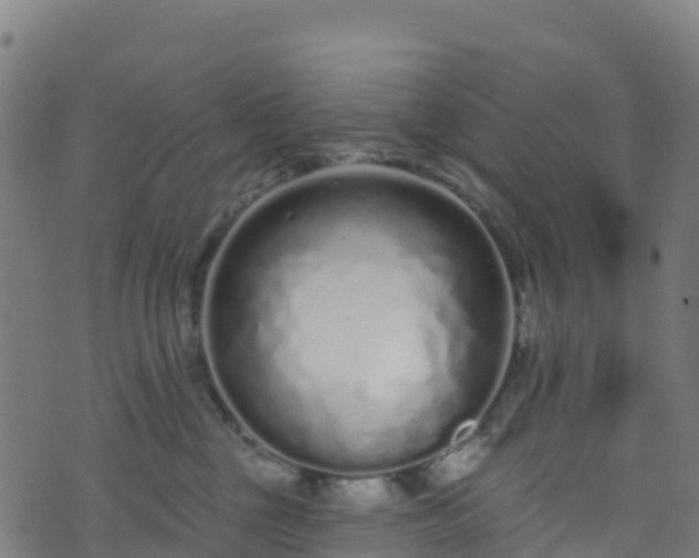 X0000070880377200606231349