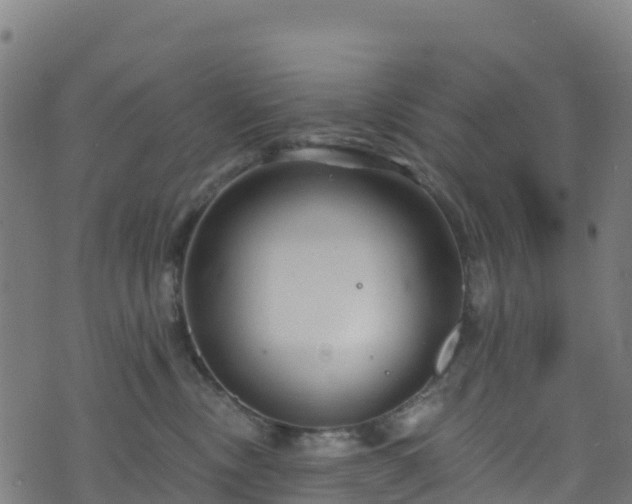 X0000070880378200606231349