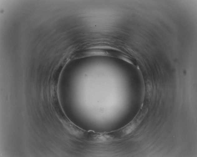 X0000070880379200606231349