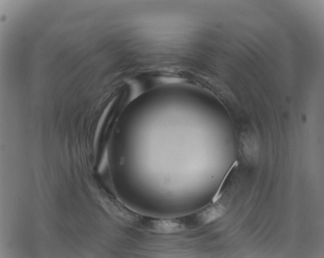 X0000070880380200606231349