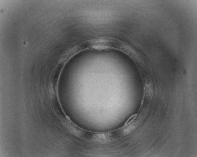 X0000070880381200606231349