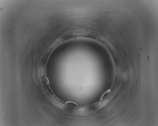 X0000070880382200606231349