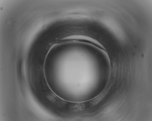 X0000070880383200606231349