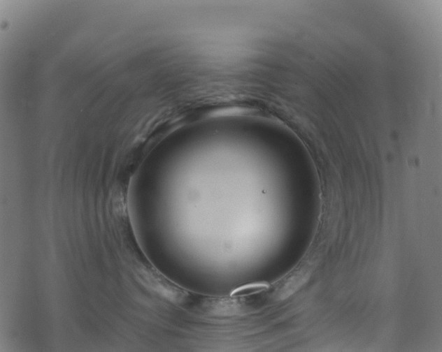 X0000070880384200606231349