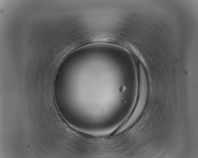 X0000070880385200606231348