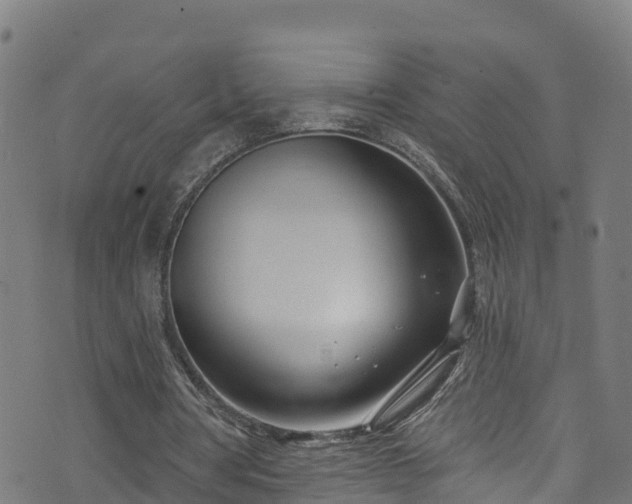 X0000070880386200606231348