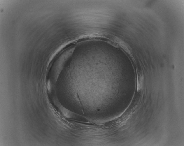 X0000070880387200606231348