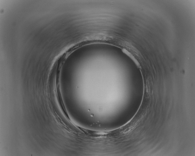 X0000070880388200606231348