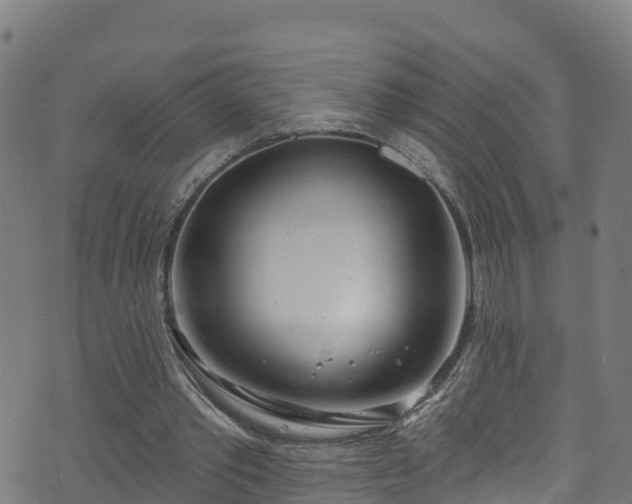 X0000070880389200606231348