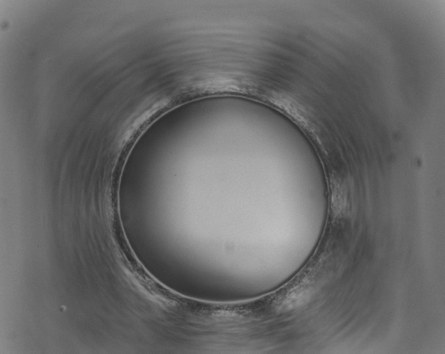 X0000070880390200606231348