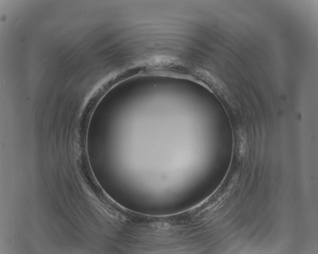 X0000070880392200606231348