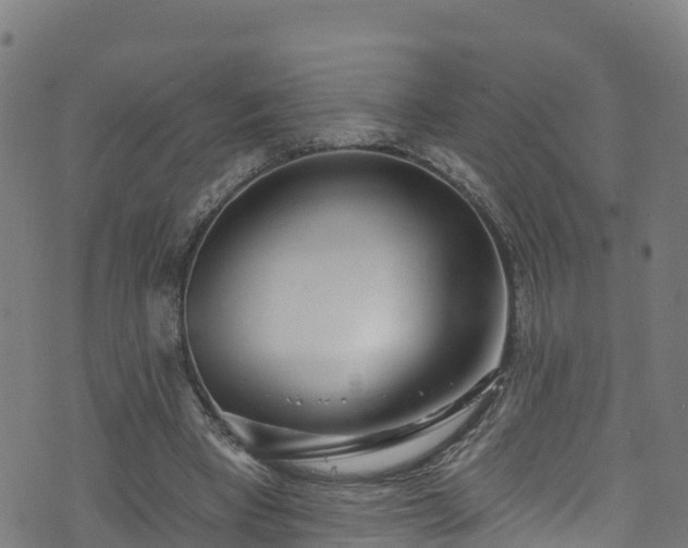 X0000070880393200606231348