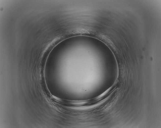 X0000070880395200606231348