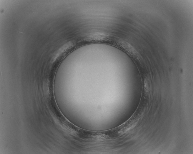 X0000070880396200606231348