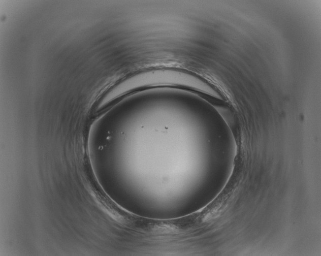 X0000070880397200606231348