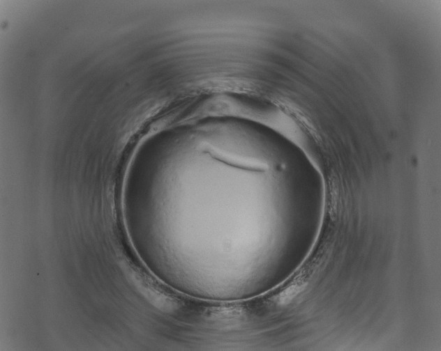 X0000070880398200606231348